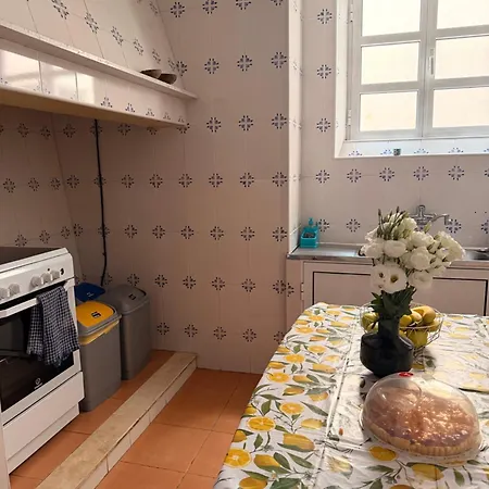 Cozy In The Center 홈스테이 피게이라다포즈