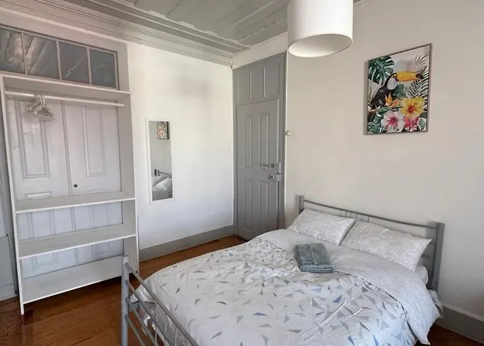 Cozy In The Center * Фигейра-да-Фош